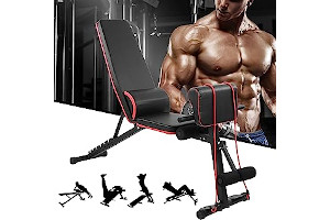 71F1Qqkvg1L._AC_UL320_